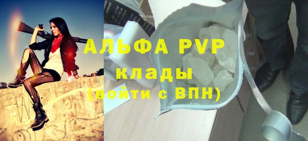 PSILOCYBIN Кодинск