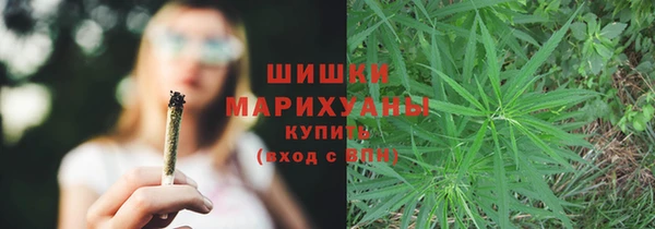 PSILOCYBIN Кодинск