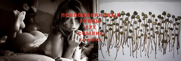 СК Козловка