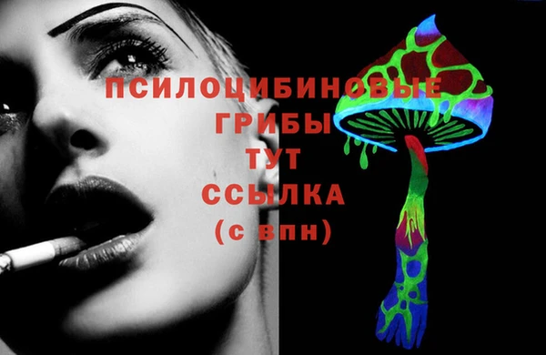 ГАЛЛЮЦИНОГЕННЫЕ ГРИБЫ Кинешма