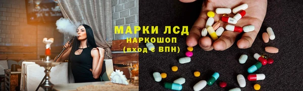 PSILOCYBIN Кодинск